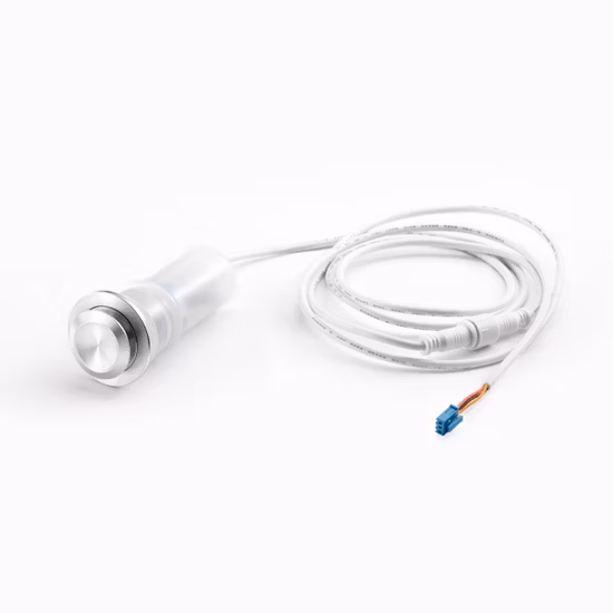 19 ミリメートルステンレス鋼小さなヘッドトイレキックスイッチ 1no1nc2no2nc スマートトイレフットスイッチ